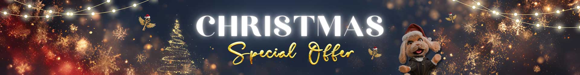 Gift Voucher Banner