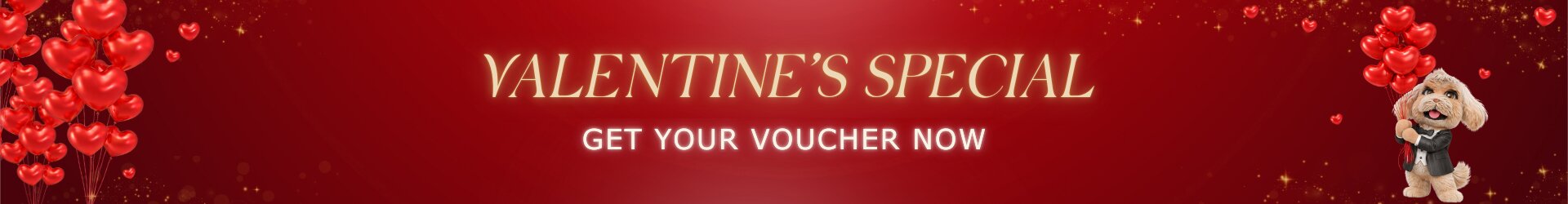Gift Voucher Banner